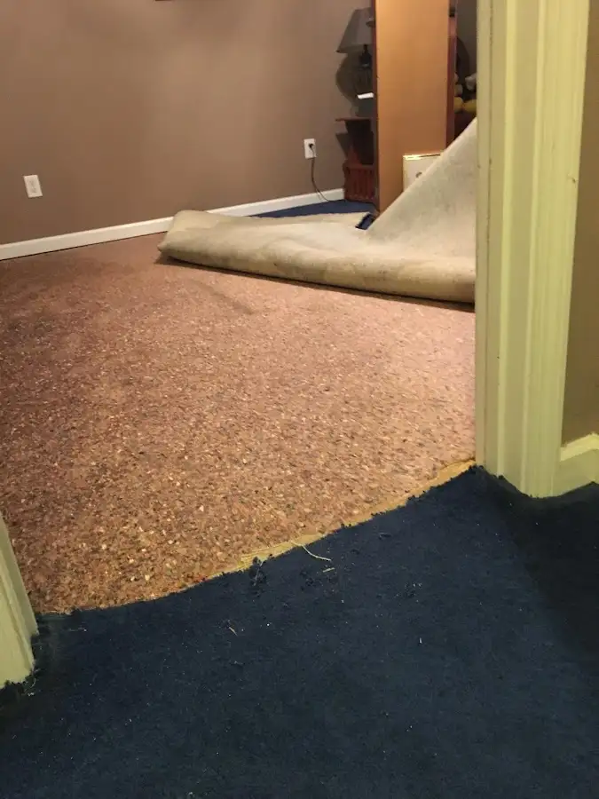 Carpet pad removal revealing water damage during Drying & Dehumidification in Kentwood