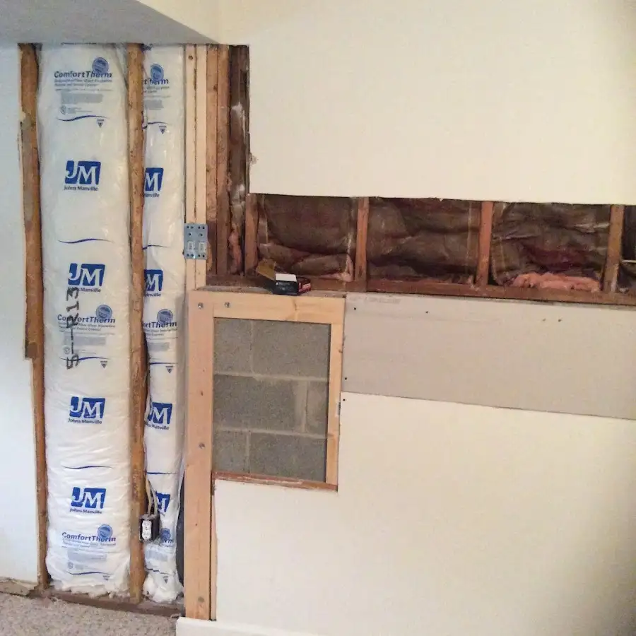 Wall insulation replacement during Basement Flood Cleanup in Kentwood